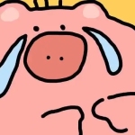 ccc ccc profile picture